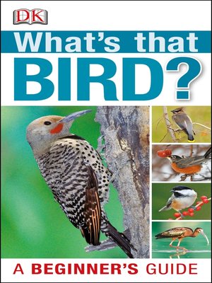 cover image of What's That Bird?